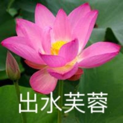 arcaea解锁人物破解版下载
